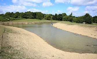 Boosting biodiversity and reducing flood risk Image